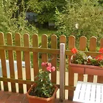 Sonnenblume