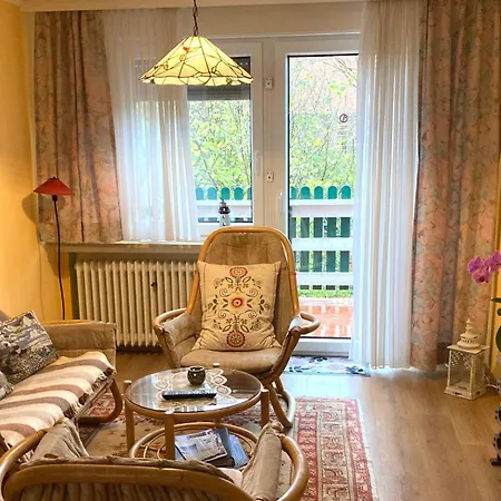 Sonnenblume Leer (Ostfriesland)