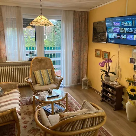 Sonnenblume * Leer (Ostfriesland)