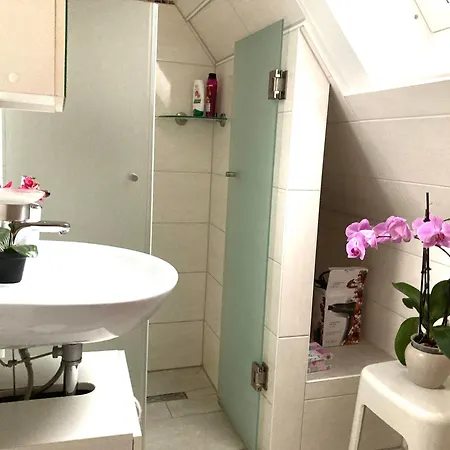 Sonnenblume Leer (Ostfriesland)