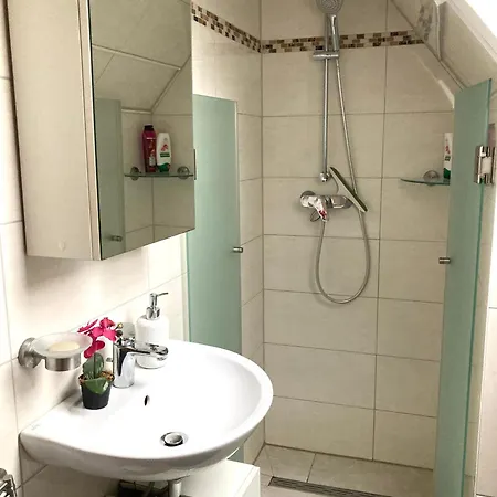 Sonnenblume * Leer (Ostfriesland)