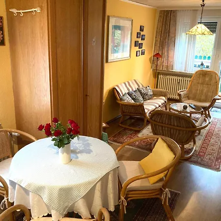 Sonnenblume Leer (Ostfriesland)