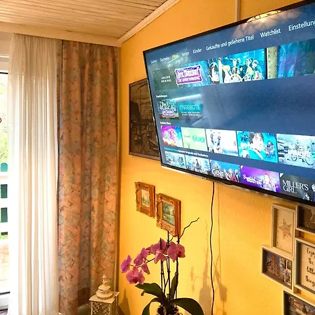 Sonnenblume Leer (Ostfriesland)