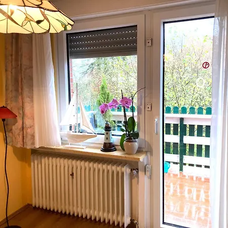 Sonnenblume * Leer (Ostfriesland)