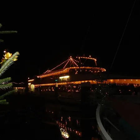 Sonnenblume Leer (Ostfriesland)