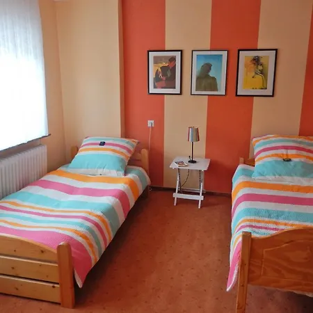 Sonnenblume Leer (Ostfriesland)