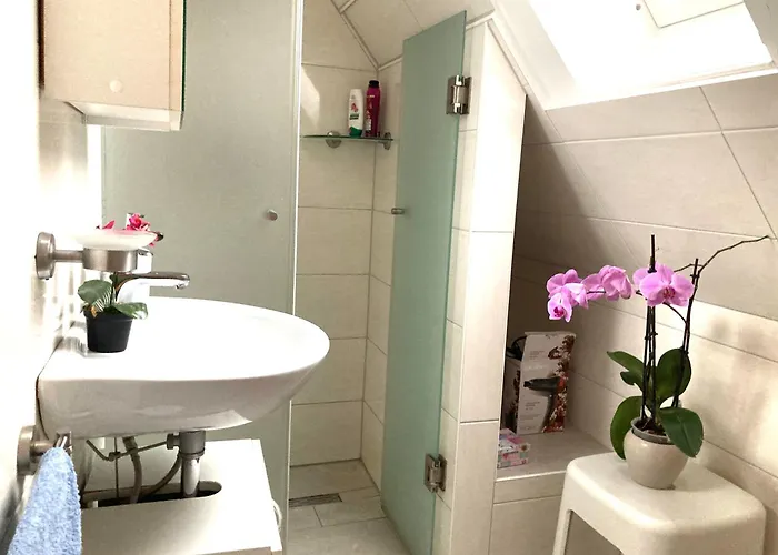 Sonnenblume Λέερ