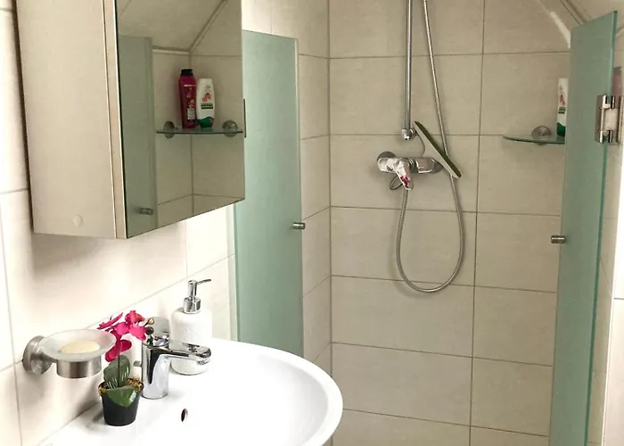 Sonnenblume * Λέερ