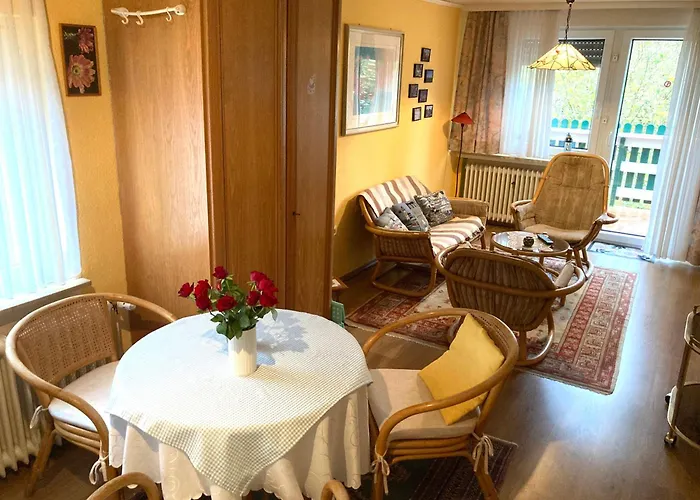 Sonnenblume Λέερ