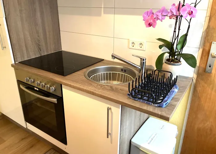 Sonnenblume * Λέερ