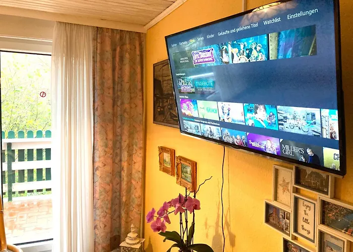 Sonnenblume Λέερ