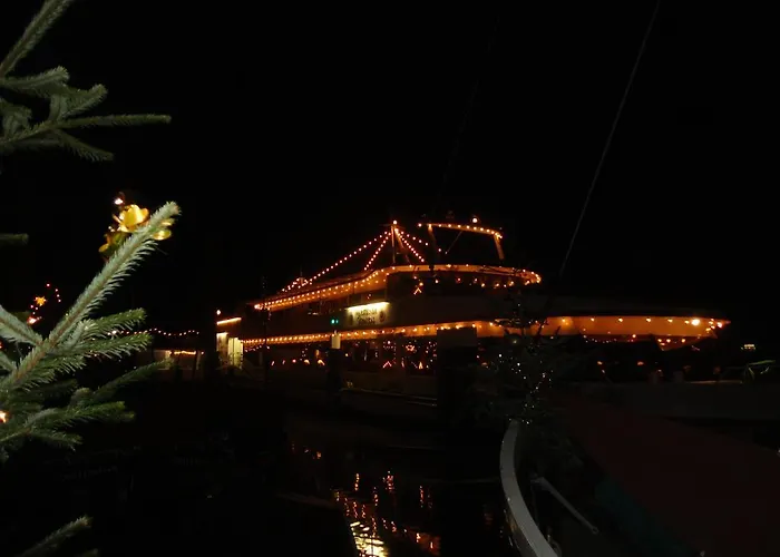 Sonnenblume Λέερ